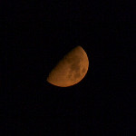 Night Moon rising